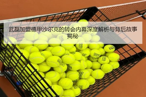 武磊加盟德甲沙尔克的转会内幕深度解析与背后故事揭秘